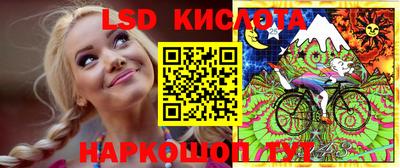 бошки Владимир