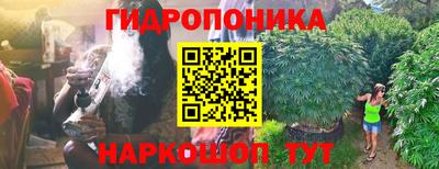 ECSTASY Владивосток